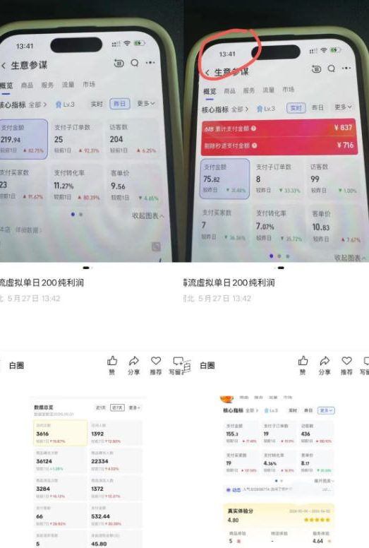 薅流虚拟2.0陪跑课，0成本AI流程化操作，淘宝 闲鱼同步玩法，上一次货两个平台有收益，单店每天200纯利润